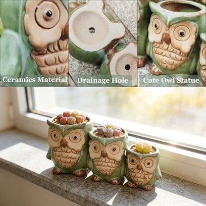 Cute Owl Planter, Small Funny Succulent Pots, Unique Decorative Animal Statue Ceramics Plant Pot for Indoor/Outdoor Home Office with Drainage, Owl Gifts for Women Mother Teacher, Three Owls