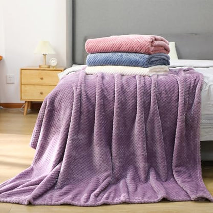 Newwiee 4 Pcs Fleece Throw Blanket, 3D Waffle Textured,Fresh Colors | Soft Lightweight Set for Couch Bed Sofa, Warm Winter Throws, No Shedding Pilling, Flannel Waffle Texture, 50x60 Inch - color: Fresh Colors