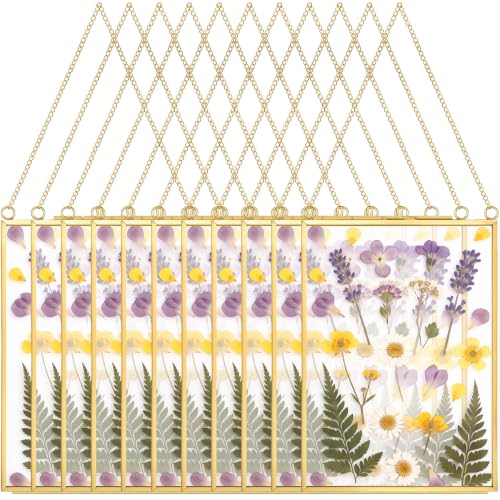 Qunclay 10 Pieces Pressed Flower Glass Picture Frames 5 x 7 Inch Brass Hanging Photo Frame Floating Photo Wall Frame Clear Vertical Frames with Chain for Gallery Vintage Artwork Display - size: 5 x 7 Inch