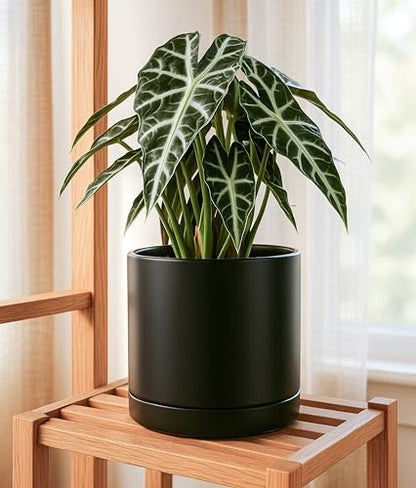 D'vine Dev 10 Inch Ceramic Planter Pot, Black, 94-O-E-2 | Modern Cylinder Design, Drainage Hole & Saucer Included, Stable Structure, Elegant Home Accent - color: Black, size: Large