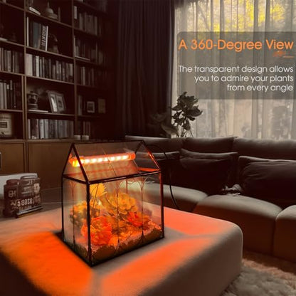 RIFNY Plant Terrarium with Grow Light, Glass Terrarium 8.9 x 5.9 x 9.9 Inch | Terrarium with LED Grow Light and Absorbent Mat for Venus Fly Trap Succulent Live Air Plants Indoor Home Office Decor - size: Black-Large with Plant Light