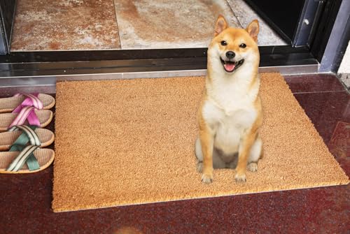 Coco Coir Door Mat with Heavy-Duty，Welcome doormats，Dirt Trapping Entry Mat，Weather Resistant,Non-Slip Outdoor Door Mats，43 * 76 cm，PVC Backing