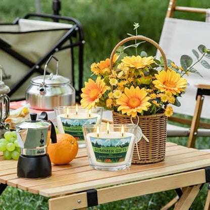 2 Pack 3-Wick Glass Cup Citronella Candles(14oz), Natural Soy Wax Clean Burning & Smokeless,citronella Scented Candle & Outdoor Candle,Camping Bar Counter Yard, Summer Gift. - color: 2Pack1-3WickClear cup