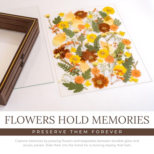 Pressed Flower Frame 11x14 Floating Glass for Dried Flowers