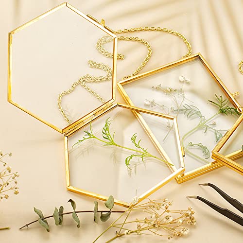 3 Pcs Pressed Flower Frames with Tweezers, Wall Hanging Double Glass Frames with Metal Chain for Pressed Dried Flowers Plants, Golden - color: Gold-3