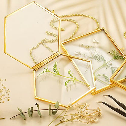 3 Pcs Pressed Flower Frames with Tweezers, Wall Hanging Double Glass Frames with Metal Chain for Pressed Dried Flowers Plants, Golden - color: Gold-3