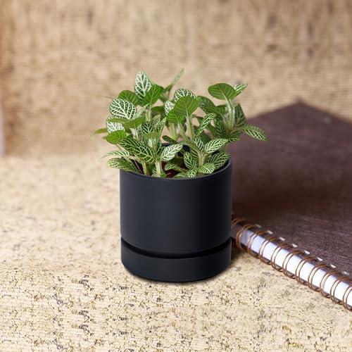 Phoenix Vine 4 Inch Planter Pot with Drainage Hole & Saucer, Deep Water Catch Tray, Straight Cylindrical Round Pot for Plants, Matte Black, Pack of 1, 23-C-R-1 - color: Matte Black, size: 4" (1 Pack)