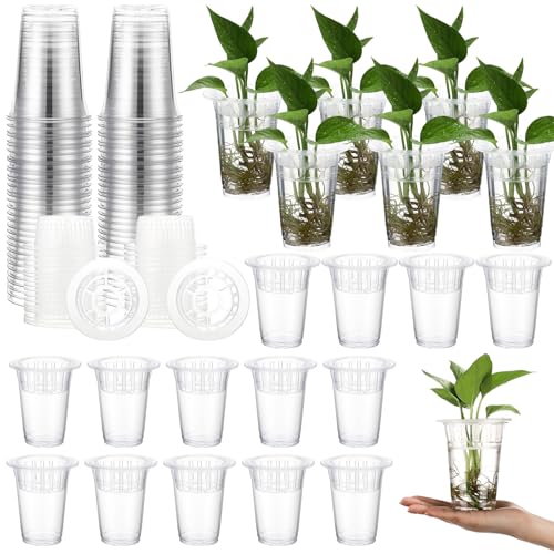 36 Pcs Plastic Plant Propagation Vase for Indoor Decor, 4.57'' | Clear Plastic Vase with Hydroponic Basket, Pet Material, Root Support Design, Easy Water Changes, Home Office Desktop Display - size: 4.57''