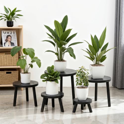 Wood Plant Stands 5-Pack Indoor, Plant Stool, Black | Premium carbonized pine with moisture-resistant, burr-free finish, Snap together in 60 seconds, no tools needed - color: Black, size: 5-Pack