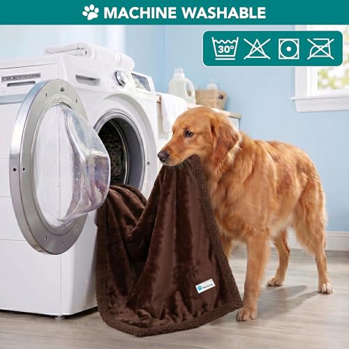 PetAmi Dog Blanket Small Medium Pet Cat Puppy Kitten, 40x29, Solid Brown | 460 GSM, Soft Sherpa Fleece Throw, Reversible Plush Couch Cover Protector Crate Carrier Sofa Bed Car Seat, Machine Washable - color: Brown/Brown Sherpa, size: Medium - 29 X 40 Inch