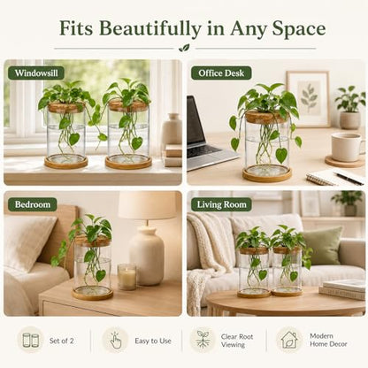 Glass Plant Propagation Stations, 2PCS | Hydroponic Vases, Wooden Lid, Bamboo Stand, Home & Office Decor