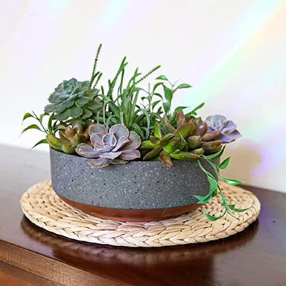 The HC Companies 8 Inch Round Plastic Succulent Capri Bowl 8"x8"x3" in Faux Concrete Color with Copper Band - color: Faux Concrete W/Copper, size: 8"