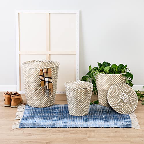 Honey Can Do Set of 3 Nesting Seagrass Snake Charmer's Baskets, Natural STO-08750 Natural