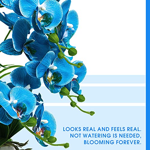W&W Artificial Orchid Plants and Flowers with Vase, Fake Faux Orchid in Ceramic Pot,19”, Blue - color: Blue 01
