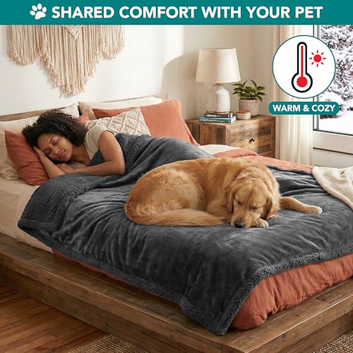 PetAmi Dog Blanket Small Medium Pet Cat Puppy Kitten, 40x29 Mini Solid Gray | 460 GSM, Soft Sherpa Fleece Throw, Reversible Plush Couch Cover Protector Crate Carrier Sofa Bed Car Seat, Machine Washable - color: Gray/Gray Sherpa, size: Medium - 29 X 40 Inc