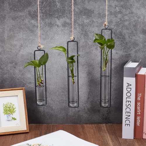 5 Sets Hanging Glass Propagation Station, 3 Styles Iron Frame Transparent Test Tube Plant Vases Wall Mounted Hydroponic Planters for Outdoor Indoor Balcony Home Decor