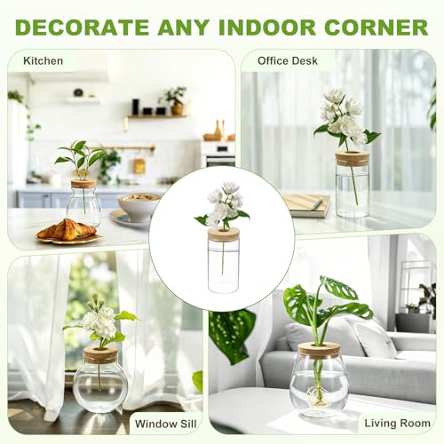 M METERXITY 1 Pack Glass Planter Terrarium with Wooden Cover, Desktop Plant Propagation Station Clear Vase for Hydroponic Plants Propagation/Home Garden Decor/Plant Lover [3.35'' x 5.91''] - size: 3.35'' x 5.91''