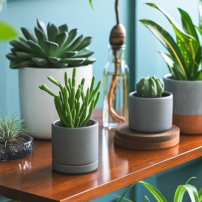 D'vine Dev 4-Pack Ceramic Pots with Saucers, Grey, 3.5 in, 94-X-A-3 | Glazed Ceramic, Drainage Hole and Saucer, Sleek Cylinder Shape, High Temperature Fired, Ideal for Small Houseplants - color: Gray, size: 3.5 Inch