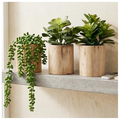 Artificial Succulents Plastic Artificial Green Plant for Office, Home Decor (Set of 3 Succlents in Wooden pots) - color: Set of 3 Artificial Succlents in Wooden Pots