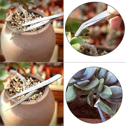 14Pcs Mini Bonsai Tools Set Gardening Transplanting Tools Succulent Plant Tools Set for Shovel Operation Convenient Indoor and Outdoor Small Fairyland Garden Plant Care