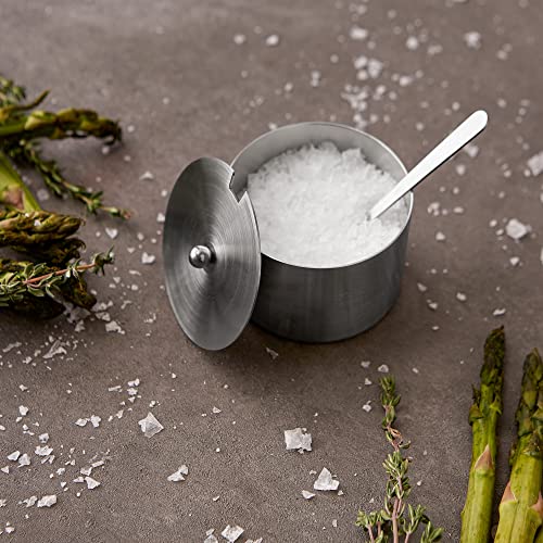 RSVP International Endurance Kitchen Collection Salt Cellar Set with Spoon, 4-Ounce, Brushed Stainless Steel - size: 0.1 Quarts