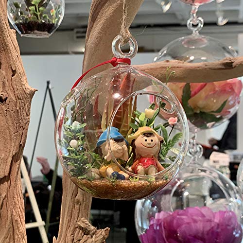 WGV Hanging Terrarium Globe Bulk, Width 2.25", Height 2.75", DIY Air Succulent Planter, Clear Glass Vase Orb with Flat Bottom, Candle Holder for Windowsill Outdoor Garden Decor, 12 Pieces