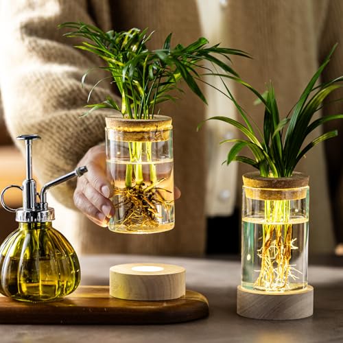 Glass Plant Propagation Stations, Propagation Vases for Plants with Ambient Light Base, Hydroponic Vase for Home & Office Windowsill Tabletop Decoration Desktop Vases for Living Room, Bedroom (9)