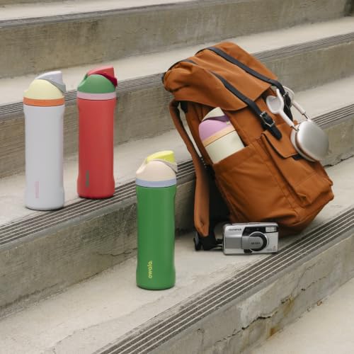 Owala FreeSip Stainless Steel Water Bottle 24 oz Dreamy Field - color: Dreamy Field, size: 24 Ounces