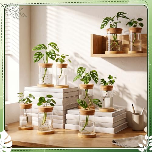 Hushee 12 Pcs Plants Propagation Stations Glass Propagation Jars with Hole Lid Hydroponic Terrarium Vases Gifts for Plant Lovers Home Indoor Office Tabletop Decoration, 2 Sizes
