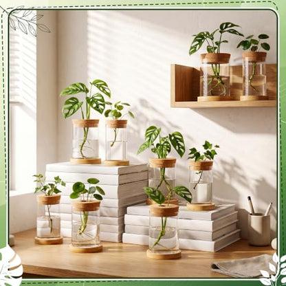 Hushee 12 Pcs Plants Propagation Stations Glass Propagation Jars with Hole Lid Hydroponic Terrarium Vases Gifts for Plant Lovers Home Indoor Office Tabletop Decoration, 2 Sizes