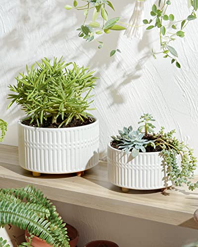 LE TAUCI Succulent Pots, 6.5+8 Inch Ceramic Indoor Plant Pot with Drainage Hole, Shallow Round Succulent Planters, Set of 2, Matte White - color: White