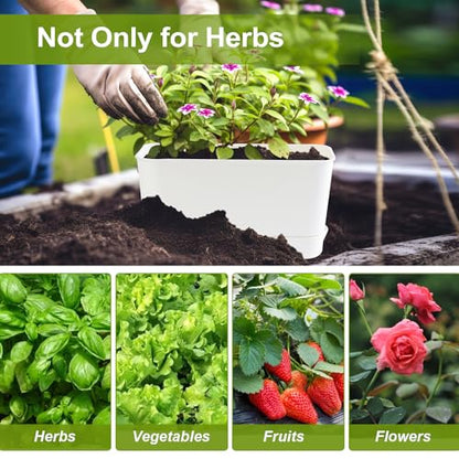 Self Watering Planters: 4 Packs Rectangular Plant Pots with with Drainage and Tray, 10 Inch Window Pot Self Watering Planter for Herb, Houseplants - size: 10 inch 4 Pcs