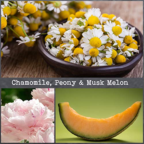100% Natural Soy Wax Candle by CoCo Benjamin - Highly Scented & Hand-Poured Luxury Candle (Chamomile, Peony & Musk Melon) - Clean Burning Cotton Wick - style: Chamomile, Peony & Musk Melon (Cotton Wick)