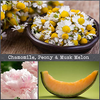 100% Natural Soy Wax Candle by CoCo Benjamin - Highly Scented & Hand-Poured Luxury Candle (Chamomile, Peony & Musk Melon) - Clean Burning Cotton Wick - style: Chamomile, Peony & Musk Melon (Cotton Wick)
