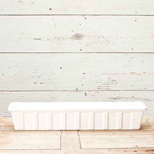 Root & Vessel Poly-Pro Plastic Flower Box Planter, White, 30-Inch - color: White, size: 30-Inch