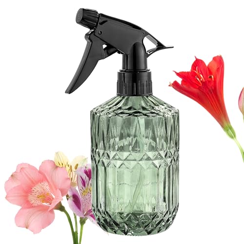 Glass Plant Misters for Inside, 13.5 oz Mister Spray Bottle for Plants, Spring Gardening, Cleaning, Hair, Pets Care with Adjustable Nozzle