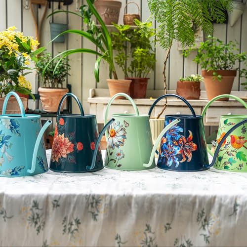 Berry&Bird 2L Long Spout Watering Can, Stainless Steel Water Can (Magnolia) | 2L stainless steel watering can, long narrow spout, elegant print, curved handle, leakproof, houseplant watering & decor - color: Yulan Magnolia