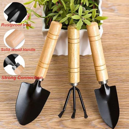 3 Pcs Mini Garden Tools Set Small Tiny Shovel Trowel and Hand Rake with Solid Wood Handle Indoor Gardening Tools for Pot Plants Succulent Bonsai - style: 3PCS Mini Black