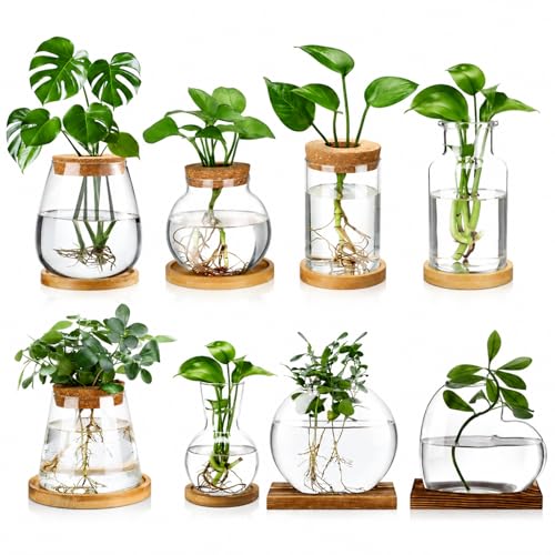 Honeydak 8 Pcs Plants Propagation Stations Planter Terrariums with Wooden Lid and Bamboo Stand Desktop Glass Propagation Vases for Plant Growing Hydroponic Home Office Tabletop Decoration - color: Heart Shaped Bottle、flat Bottomed Ball Bottle