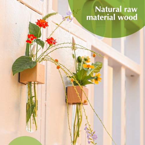 Wooden Wall Planter Glass Plant Propagation Stations Fridge Glass Tube Single Stem Bud Vase 2Pcs/Set Modern Decorative Cube Wood Window Flower Vase Refrigerator Magnetic Mini Glass Vase with Dropper