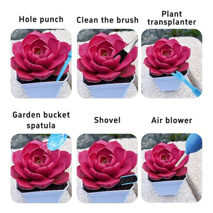 6Pcs Mini Succulent Tools Set, Garden Hand Tools Kit for Indoor Plant Care, Succulent Bonsai Miniature Garden Tool Set, Small Gardening Tools for Transplanting Digging Planting, Blue - style: Blue