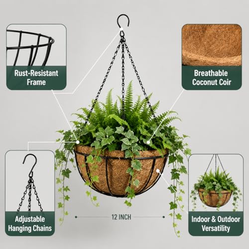 Kingbuy 8" Metal Hanging Basket for Small Succulents & Herbs – 5" Depth Rust-Resistant Wire with Coconut Liner & Chain for Kitchen Window, Balcony & Small Spaces - 1 Pack - size: 8 Inch, style: 1 Pack