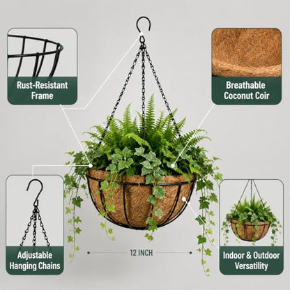 Kingbuy 8" Metal Hanging Basket for Small Succulents & Herbs – 5" Depth Rust-Resistant Wire with Coconut Liner & Chain for Kitchen Window, Balcony & Small Spaces - 1 Pack - size: 8 Inch, style: 1 Pack