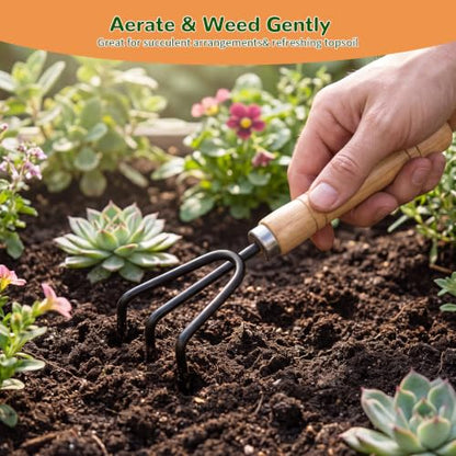 3 Pcs Mini Garden Tool Set with Small Trowel, Mini Shovel & Hand Rake | Iron Gardening Hand Tools with Wood Handle, Potting & Transplanting Tool Kit for Houseplants, Succulents, Herbs & Flowers - color: natural wood-3pcs