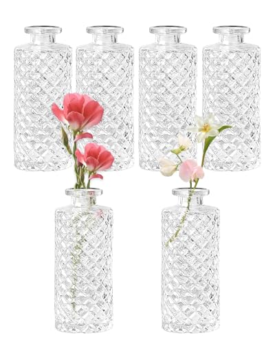 Bud Vases,6 Pcs Glass Vase Small Amber Bud Vases for Centerpieces, Vintage Vase for Centerpieces, Rustic Wedding, Home, Table Decor (Clear) - color: Clear