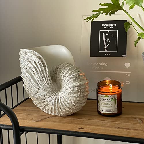 Large Nautilus Shell Sculpture, White Seashell Beach Decor | Rustic white polyresin nautilus replica; 9.8 x 5.9 x 7.9 in; coastal shelf, tabletop, ocean-theme decor; gift boxed
