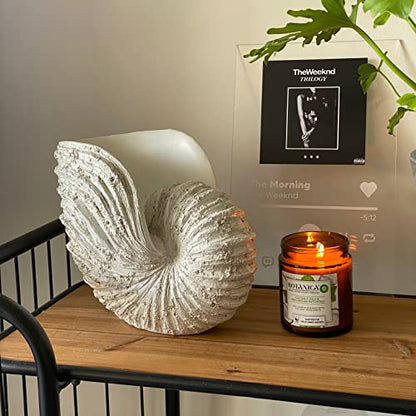 Large Nautilus Shell Sculpture, White Seashell Beach Decor | Rustic white polyresin nautilus replica; 9.8 x 5.9 x 7.9 in; coastal shelf, tabletop, ocean-theme decor; gift boxed