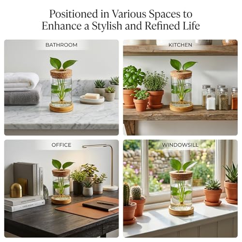 16 Pcs Propagation Vases with Bamboo Stand and Hole Lid, Glass Plant Propagation for Plants Water Hydroponic Desktop Office Home Vase Decoration(Classic Style)