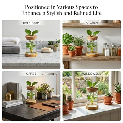 16 Pcs Propagation Vases with Bamboo Stand and Hole Lid, Glass Plant Propagation for Plants Water Hydroponic Desktop Office Home Vase Decoration(Classic Style)