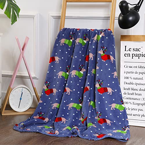 Elegant Comfort Luxury Velvet Super Soft Christmas Prints Fleece Blanket-Holiday Theme Home Décor Fuzzy Warm and Cozy Throws for Winter Bedding, Couch and Gift, 50 x 60 inch, Dogs in Sweater - color: Dogs in Sweater, size: 50 in x 60 in